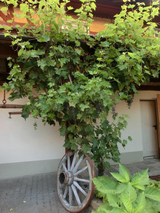 Zehnthof Hotel Geldersheim Exterior photo